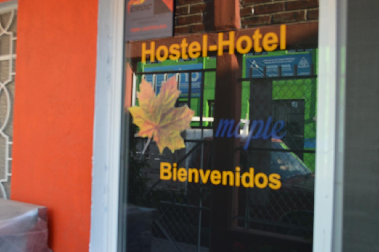 Hostal Maple Querétaro Buitenkant foto