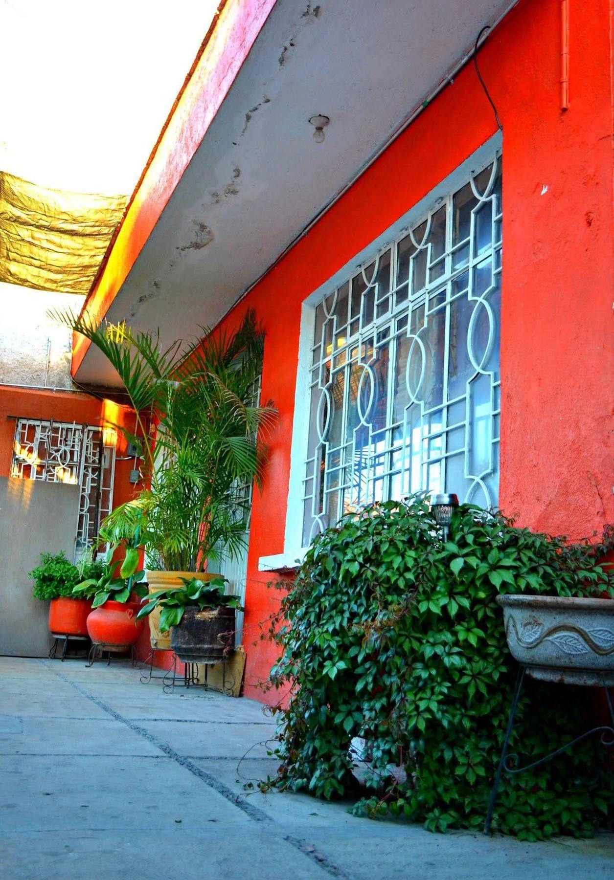 Hostal Maple Querétaro Buitenkant foto