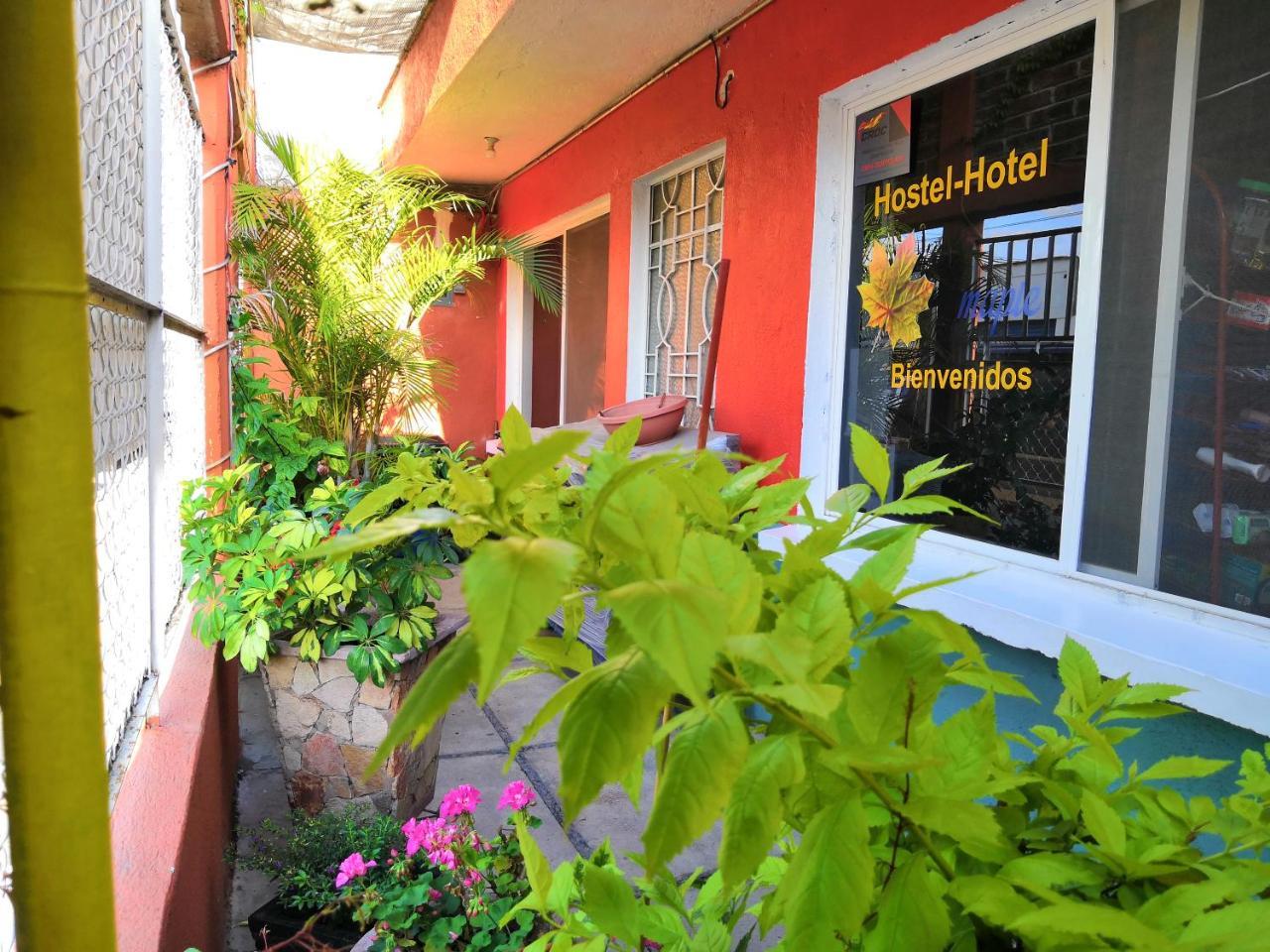 Hostal Maple Querétaro Buitenkant foto